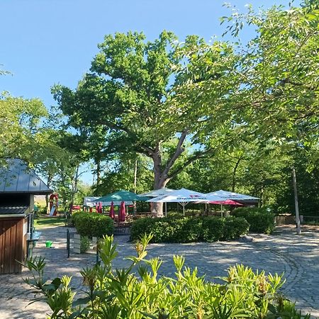 Hotel Schloesschen Sundische Wiese زنغست المظهر الخارجي الصورة